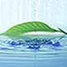 環境への取り組み